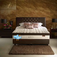 Lady Americana Spinal Care 200 x 200 (Kasur Saja / Mattress Only)