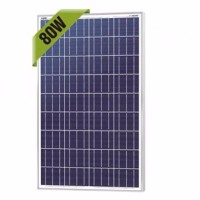 SOLAR PANEL SOLAR CELL PANEL SURYA SHINYOKU 80 WP PREMIUM