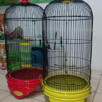 kandang burung radja original warna merah ferarri dan kuning