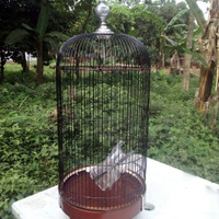 sangkar / kandang BNR lovebird
