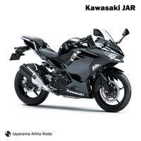 Kawasaki 2018 Ninja 250 - Black