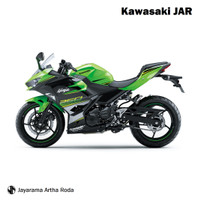 Kawasaki 2018 Ninja 250 Special Edition