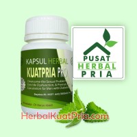 Obat Diabetes Herbal Kuat Pria Pro Khusus Penderita Terbaik SNI BPOM