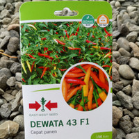 Benih Bibit Cabe Rawit Putih DEWATA 43 F1