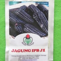 Terbaik Benih Jagung Hitam Ipb J1 Dramaga Pack