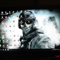 Monitor 17