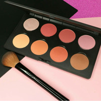LT Pro Blush On Powder Blush Palette