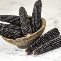 Bibit / Benih / Seed Black Corn Jagung Hitam Unik Mudah Tumbuh