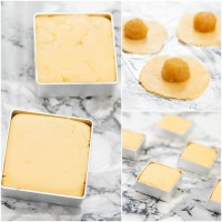 Jual CETAKAN NASTAR TAIWAN KOTAK IMPORT - PINEAPPLE CAKE MOLD Murah