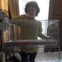 kandang lipat galvanis