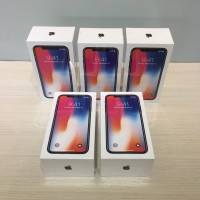 iPhone X 64Gb Silver (Garansi Resmi Internasional)