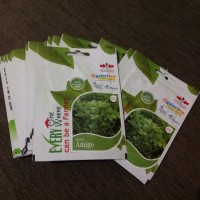 Benih Seledri Amigo Cap Panah Merah 4000 seeds original packing
