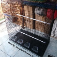 KANDANG BESI LIPAT UMBARAN KOLONI TERNAK BURUNG LOVEBIRD KACER MURAI