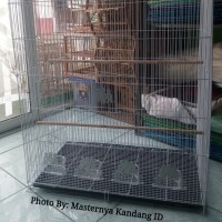 KANDANG UMBARAN KOLONI TERNAK BURUNG (P75xL45xT90cm)