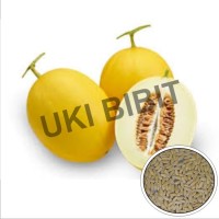 ( 1 Butir ) Benih Melon Golden