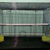 Kandang kotak lipat lovebird sugarglider tupai ayam ukuran L besar