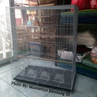 KANDANG UMBARAN KOLONI TERNAK BURUNG LOVEBIRD MURAI DLL (P75xL45xT90CM