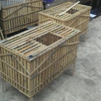 Kandang Ayam Dari Bambu