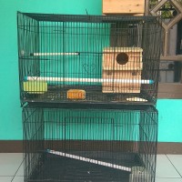 Kandang Lovebird + Glodok