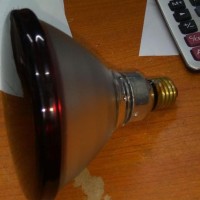 JUAL LAMPU TERAPI INFRARED 150W MERK PHILIPS DISKON