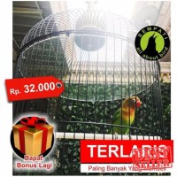 PLAFON ATAP AKRILIK SANGKAR KANDANG BURUNG LOVEBIRD ANTI NAIK KEATAS