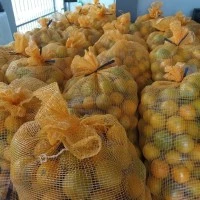 SALE MURAH JERUK BABY MALANG JAVA JERUK PERAS PERAH MANIS SEGAR SEHAT