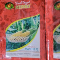Benih Jagung Manis Varietas Mangir F1 250Gr
