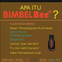 ORIGINAL FLASHDISK BIMBELBEE UNTUK SD TERLENGKAP PUSTAKA LEBAH
