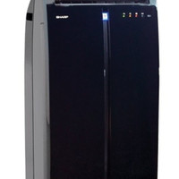 Sharp CV-P09GRV AC Portable 1 PK