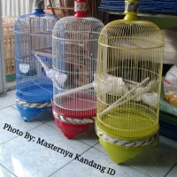 KANDANG BURUNG LOVEBIRD PION TEBOK KAYU BUKAN BNR EBOD RADJA SAZIME