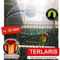 Baru PLAFON ATAP AKRILIK SANGKAR KANDANG BURUNG LOVEBIRD ANT Terbatas