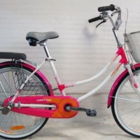 chat wa 081244962089 Diskon Sepeda Mini City Bike 26 United Class X