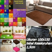 Karpet Bulu Lantai Permadani Minimalis Bulu Rasfur Halus 100x150x1.5CM