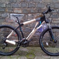 Sepeda gunung polygon xtrada 4