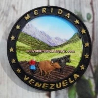 Oleh2 Magnet Venezuela