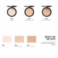 focallure pressed powder