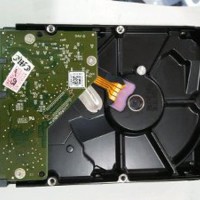 hardisk wd purple 1 tera