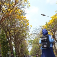 Tas Kulit Jogja-Tas Batam Terbaru-Tas Batam Branded