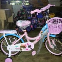 Sepeda Anak Mini 16 Chapus