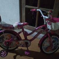 menjual berbagai merek sepeda secara online sepeda anak merk polygon