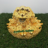 Jual Kodok Rezeki Emas Kota Medan Amithofo Gallery Tokopedia