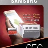 Terpopuler Samsung Micro Sd Card 256 Gb Evo Plus U3 4K