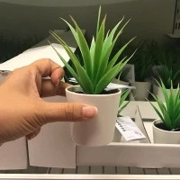 FEJKA Sukulen Tanaman Hias Mini, 6cm, Hiasan Bunga Plastik, Dekorasi