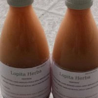 Ekstrak Asli Bawang Putih+Jahe Merah+Cuka Apel+Lemon+Madu 300Ml