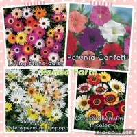 JUAL PAKET HEMAT 16 JENIS BENIH BUNGA IMPORT INGGRIS ORIGINAL ASLI