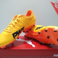 TERBATAS SEPATU BOLA PUMA evoPOWER VIGOR 4 FG NEW ARRIVAL 2017 ORI 10