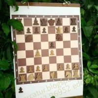 Jual Papan peraga catur, Papan catur peraga, hiasan dinding ruang tamu unik Murah