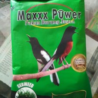 Jual Burung Jalak Suren Di Jawa Timur Harga Terbaru 2020 Tokopedia