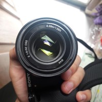 Lensa Lens Fix Prime Sony E 50 mm Masih Bergaransi sel50mm
