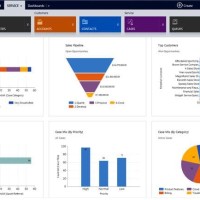 Video Tutorial Training Microsoft Dynamics CRM Essential